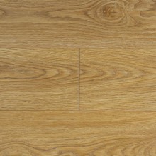 Дуб Элегант